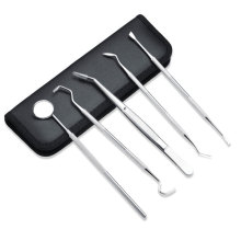 Stainless Steel Dental appliance Dentist Clean Tools