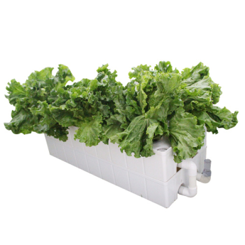 Hydroponics vegetable planter systems Manufacturers and Hydroponics vegetable planter systems Suppliers