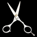 Regular Scissors