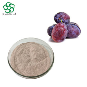 100% Water Soluble Natural Prune Juice Powder