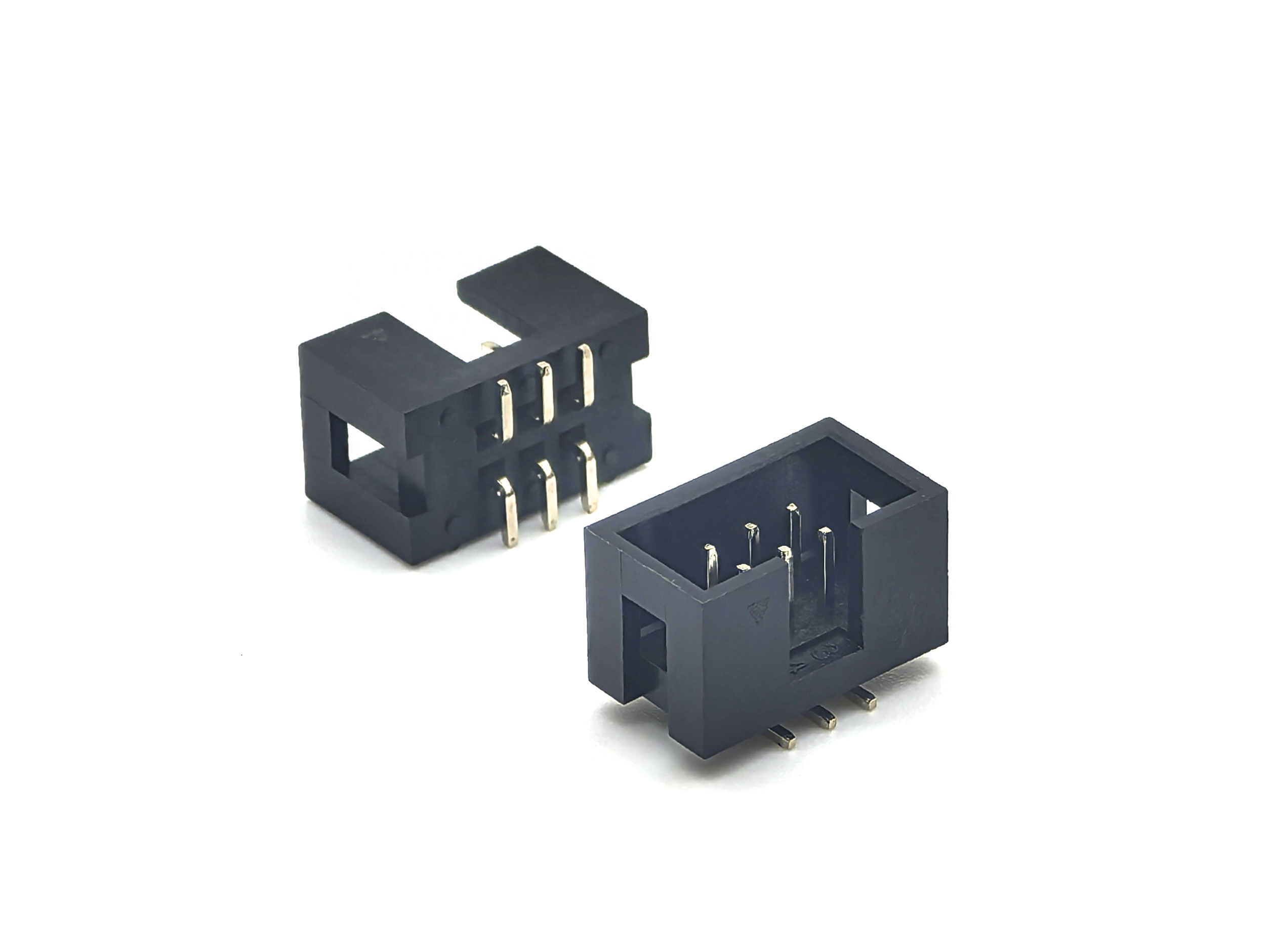 Main-02