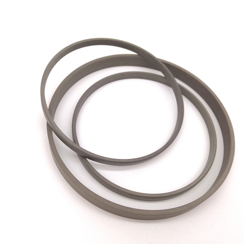 Glyd Ring Piston Seal