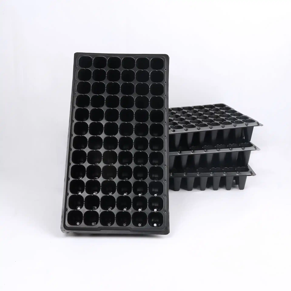 PVC 070105