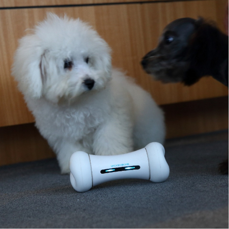 2020 New WICKEDBONE Smart Pet Phone Controlled Electric Pet Toy Wickedbone Smart & Interactive Emotions Dog Toy