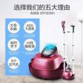 Smart Double Pole Garment Steamer Handheld/hanging Electric Steam Irons LCD Display Overheat/Anti Dry Protection 2L 1500W