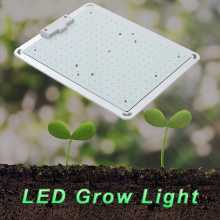 Indoor Quantum Growing Light Growth LED Grow Lamp