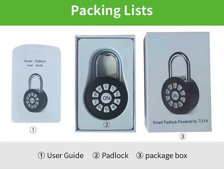 Electronic Password Padlock