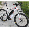 Electric Mountain Bike 500W 29'' Electric Bicycle with Removable 48V 13Ah Battery 21 Speed Shifter Ebike
