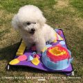 Dog Training Mats Pet Toy Snuffle Sniffing Foraging Pad Dog Toy Accessories Cat Smell Pad Puzzle Release Stress Training Blanket