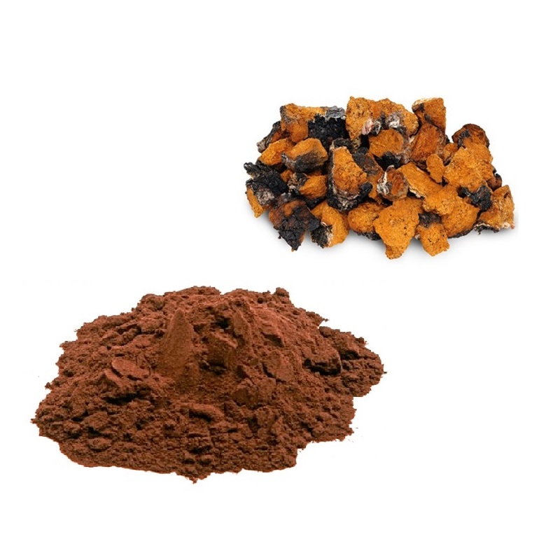 Chaga Powder