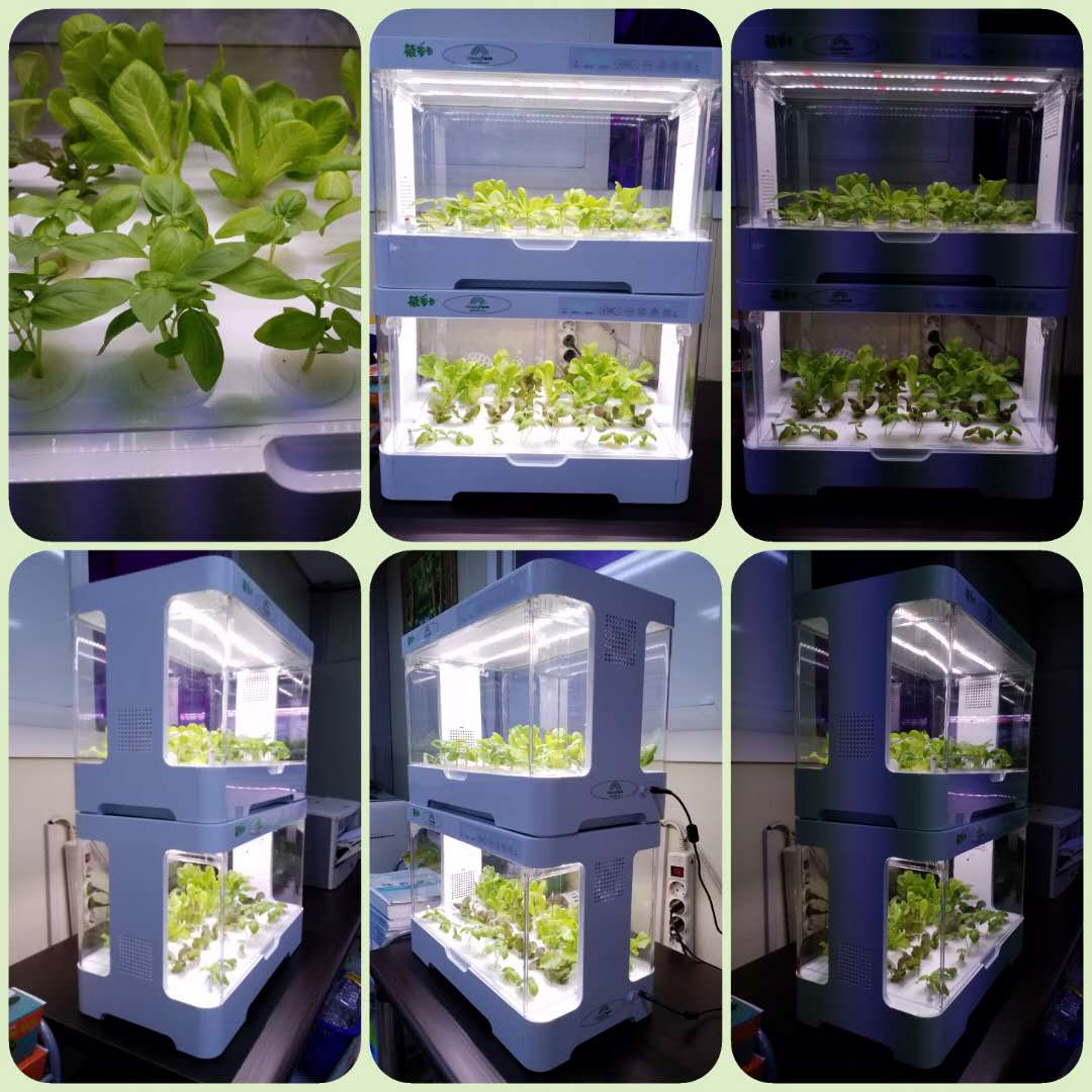 hydroponic  system22