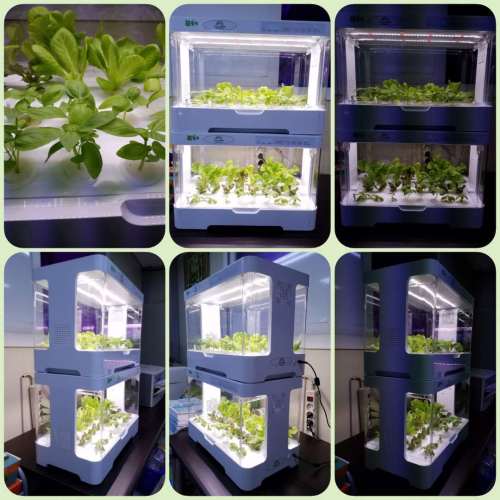 Intelligent 30holes hydroponic planter Manufacturers and Intelligent 30holes hydroponic planter Suppliers