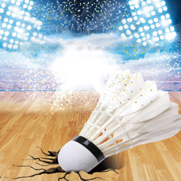 12Pcs/lot Professional Feather Badminton Balls Shuttlecocks White Feather Training Badminton Ball Sports Accessories#20