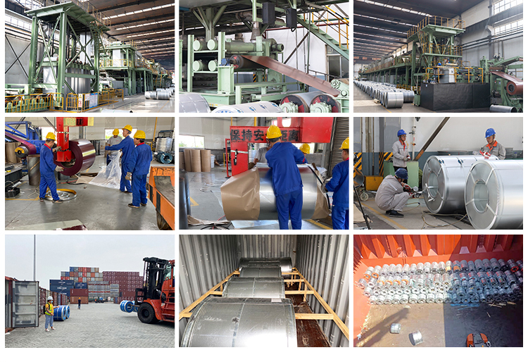 Color Coated Steel Coil11