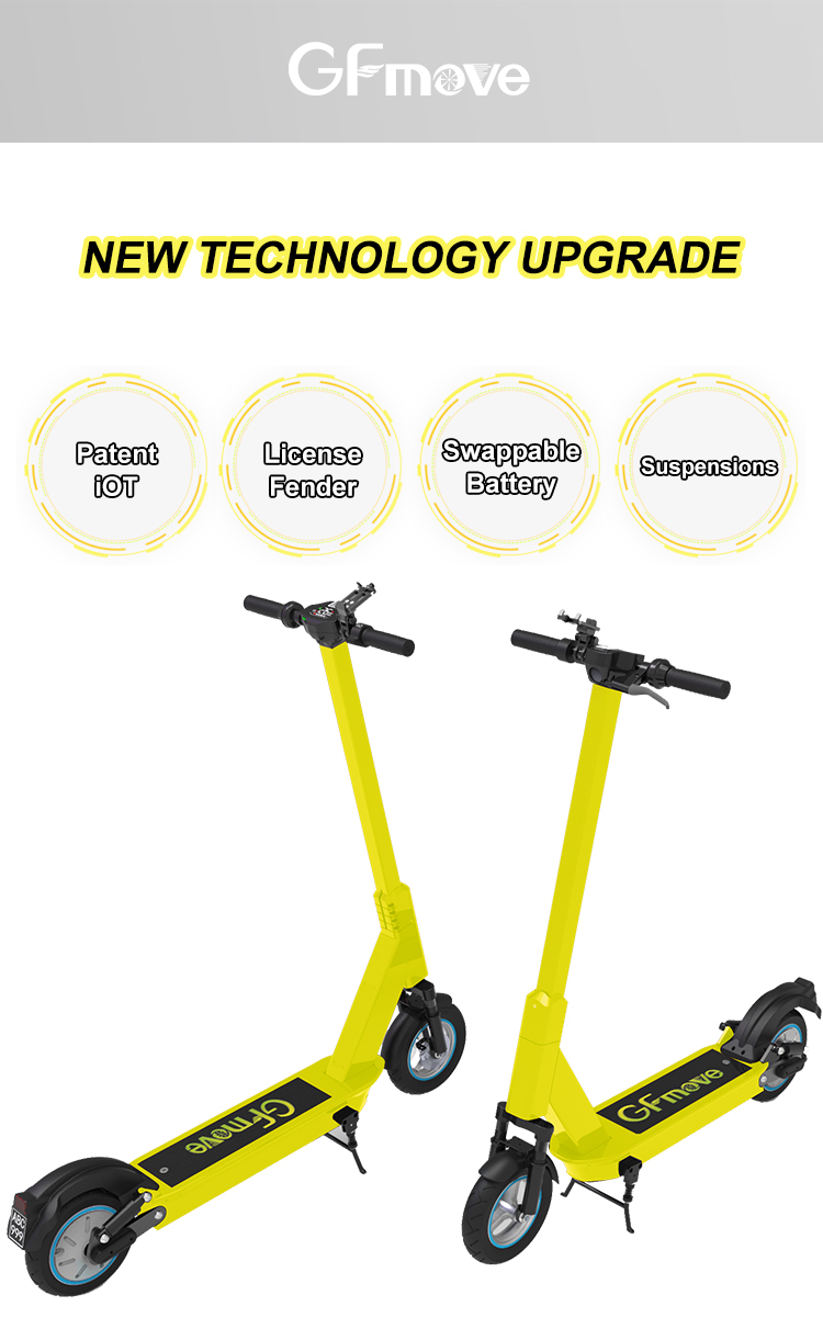electric scooter PRO 01
