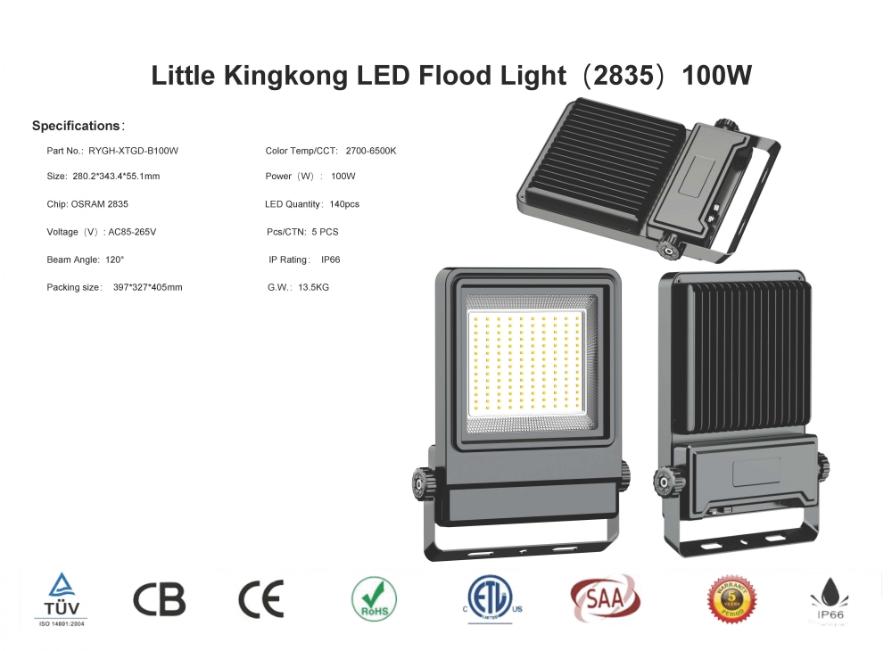led flood light specifications-RYGH-20215