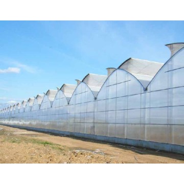 Saw tooth roof vent multi span plastic greenhouse