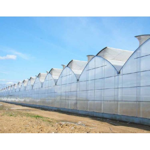 Saw tooth roof vent multi span plastic greenhouse Manufacturers and Saw tooth roof vent multi span plastic greenhouse Suppliers