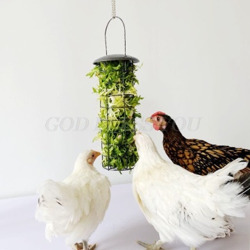 Chicken Feeder Basket Vegetable Fruit Veggie Hanging Coop Pigeon Chick Rooster Hen Fun Foraging Metal Treat Box Feeding Tool