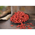 Bio dried red berries/Low moisture Goji Berry