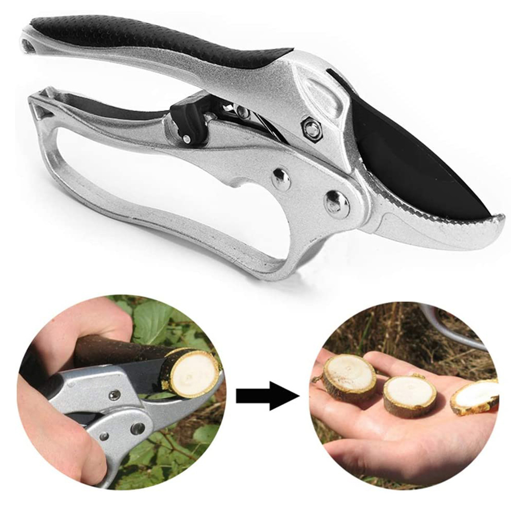 Ratchet Plant trim horticulture Hand Shear Orchard pruning pruner cut Shrub Garden Tree Flower Scissor tool