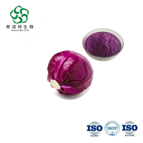 Organic Purple Cabbage Juice Powder for Sale, Offer Organic Purple Cabbage Juice Powder