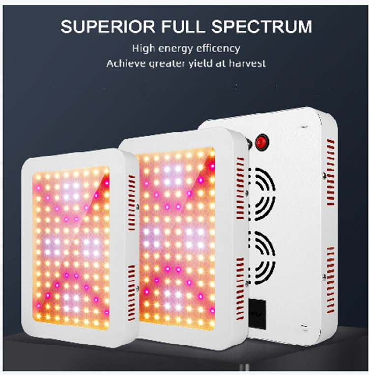 Shenzhen Wenyi 1000W Grow LED Full Spectrum