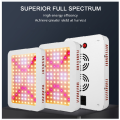 Shenzhen Wenyi 1000W Grow LED Full Spectrum