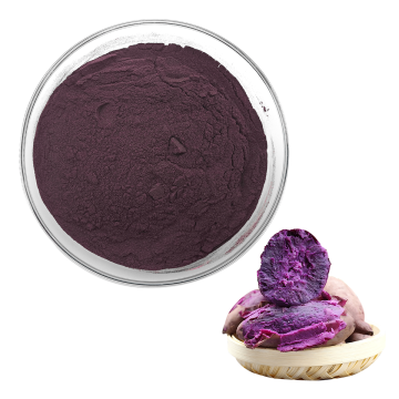 Purple Sweet Potato Extract 5% 10% Anthocyanins