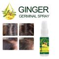 EELHOE Regrow Ginger Fast Hair Growth Serum Essential Oil Nourishing Preventing Hair Lose Repair Grow Hair Conditioner TSLM2