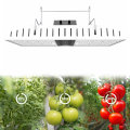 https://www.bossgoo.com/product-detail/quality-800w-led-grow-light-for-62273982.html