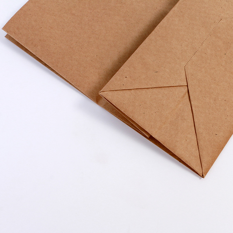 Paper Bag 9 Jpg