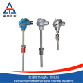 Explosion-proof thermocouple, thermal resistance