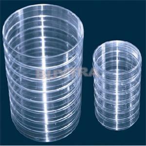 10Pcs/Lot 55x15mm Laboratory Plastic Petri Dish/Transparent Clear Like Glass Petri Dish Lab Supplies Wholesale