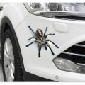 1Pcs Car Sticker Auto 3D spider Waterproof Stickers FOR infiniti g35 dodge ram 2500 food truck passat b7 mazda cx-5 mustang 2015