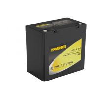 lithium iron phosphate batteries for Electric Power Systems