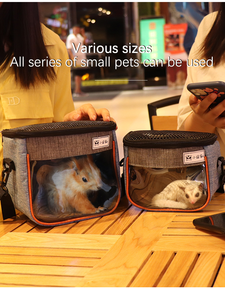 Pet Travel Carrier