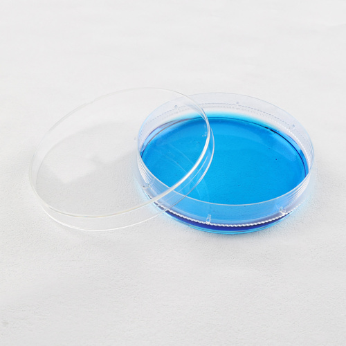 Best Disposable Plastic Culture Cell Bacteria Petri Dish Manufacturer Disposable Plastic Culture Cell Bacteria Petri Dish from China