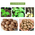 Color Potato Cultivation Planting Woven Fabric Bags Garden Pots Planters Vegetable Planting Bags Grow Bag Farm Home Garden Tool