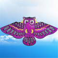 Colorful Cartoon Owl With Kite Line Kids Outdoor Toy New Flying Kite 110cm