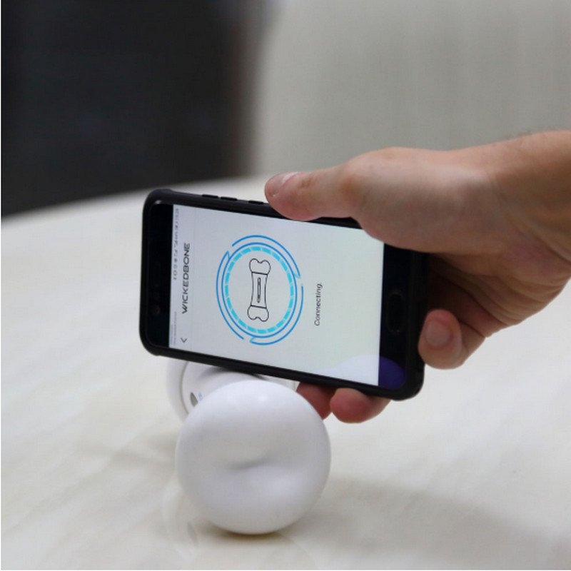 2020 New WICKEDBONE Smart Pet Phone Controlled Electric Pet Toy Wickedbone Smart & Interactive Emotions Dog Toy
