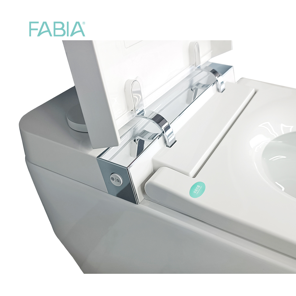 electric smart toilet