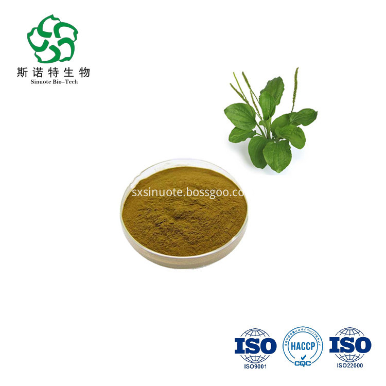 Semen Plantaginis Extract