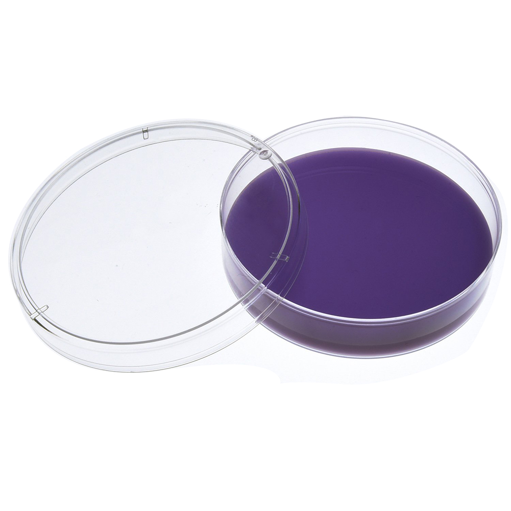 New Plastic Petri Dish Sterile Dishes with Lid, 100 mm and 60 mm, 20 Pcs