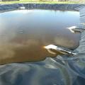 Waterproof HDPE Fish Pond Liner Garden Pool Reinforced Membrane Flexible Durable Backyard Waterfall Liner Cloth 5'x10'