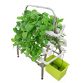Hydroponic NFT 36 Holes Growing System