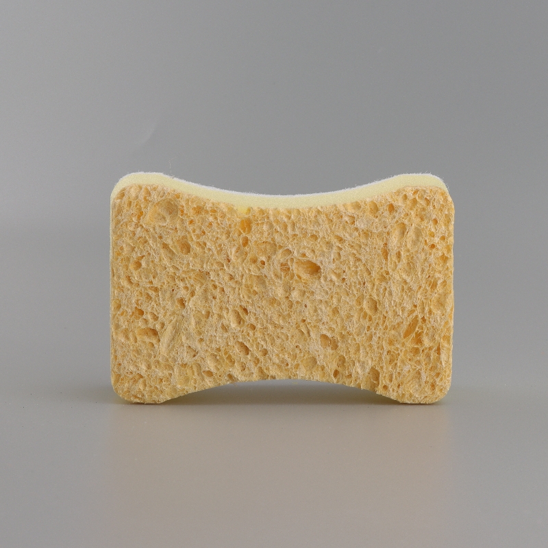 Household Sponge