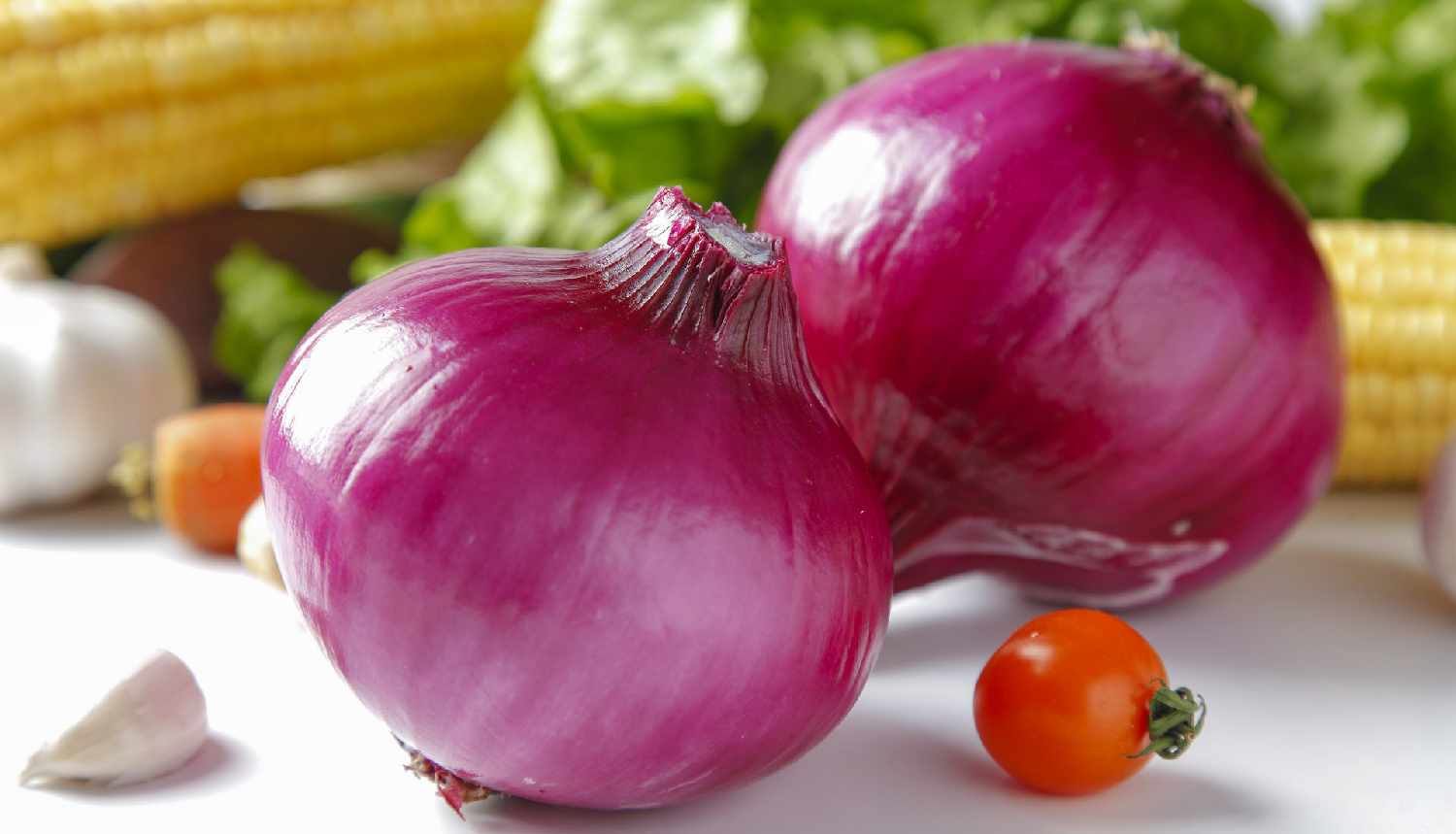 Onion extract powder manufacturers