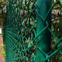 PVC Coated Chain Link Fence Wire Mesh