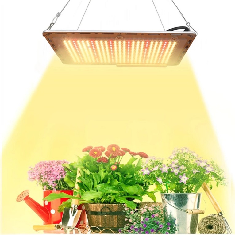 WENYI quantum board grow light 120w 240w